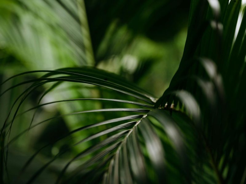 The case for measuring everything (humidity, light, temp)