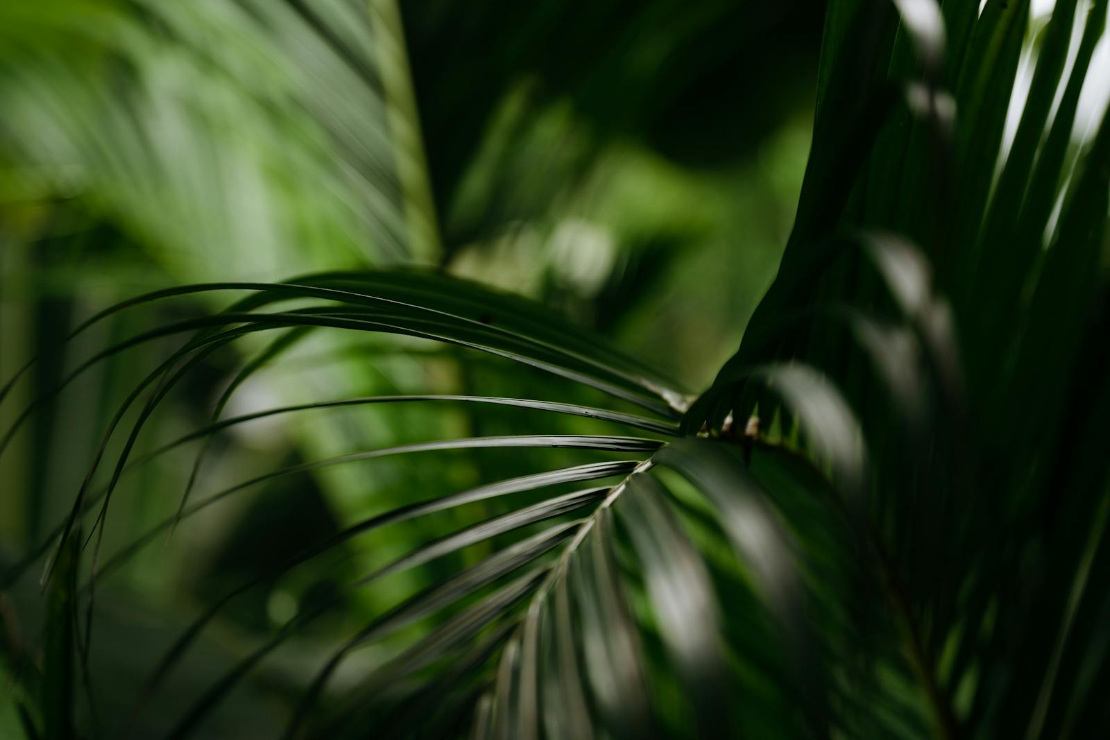 The case for measuring everything (humidity, light, temp)