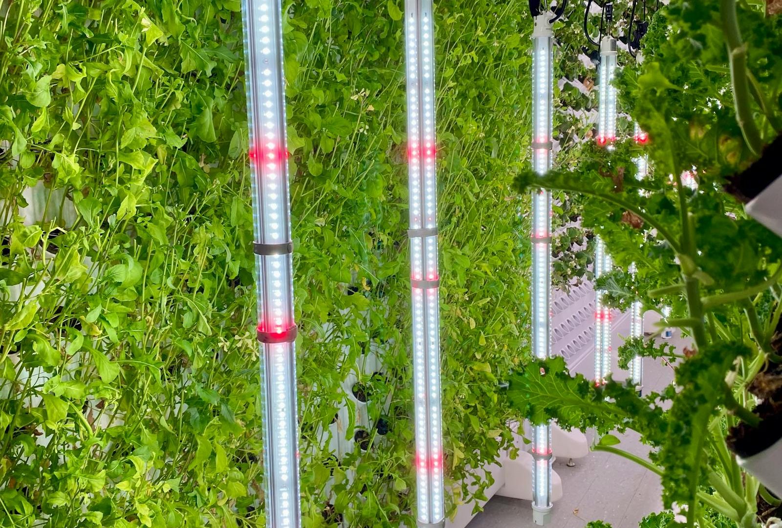 The lighting math nobody wants to do (and why you should)