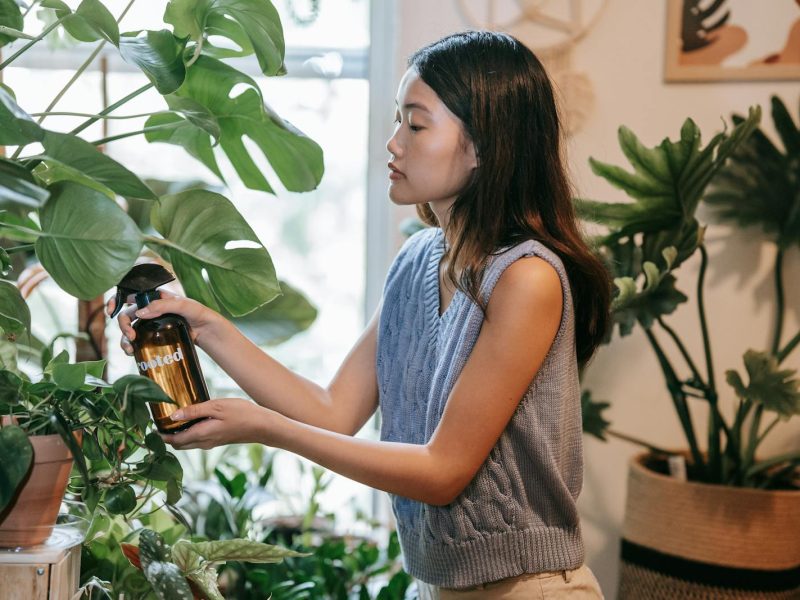 Overwatering versus underwatering: how to actually tell