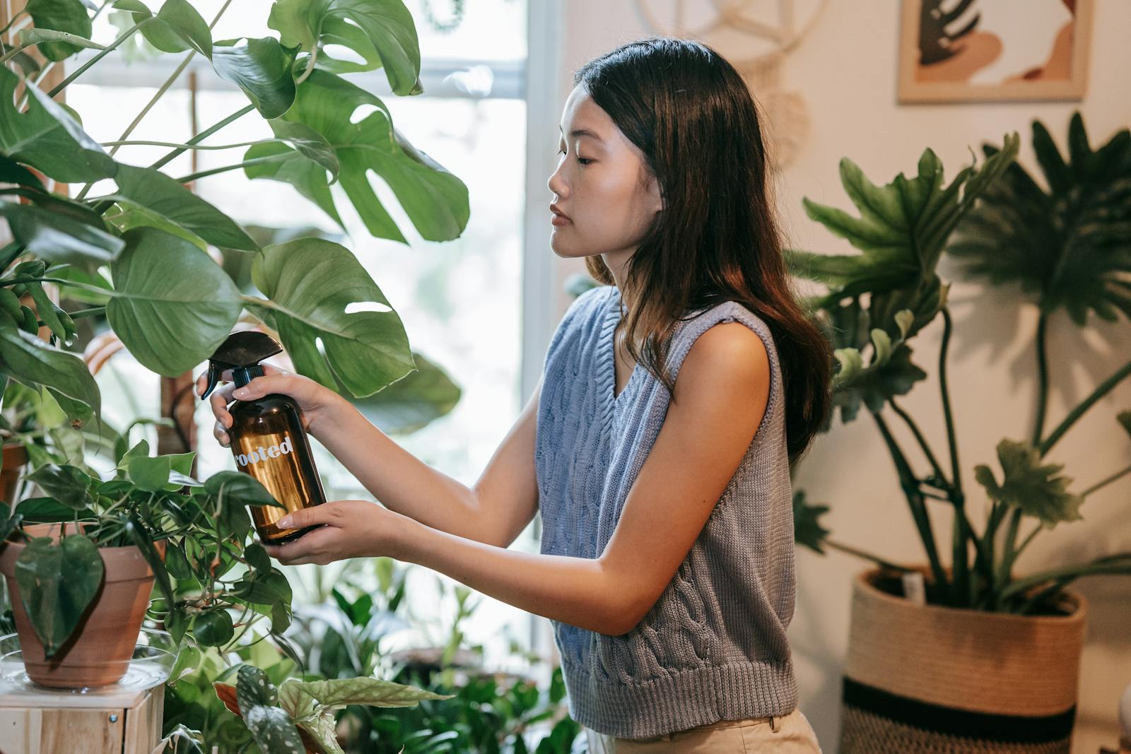 Overwatering versus underwatering: how to actually tell