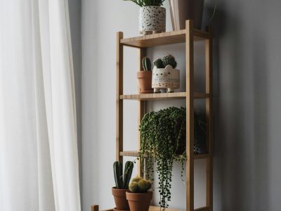 Open shelving displaying a varied houseplant collection
