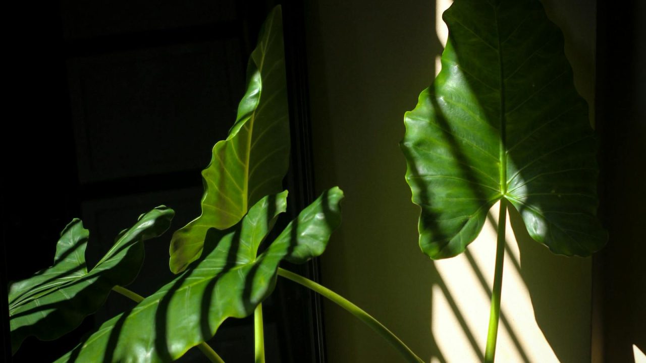 Building a quiet plant room, layer by layer