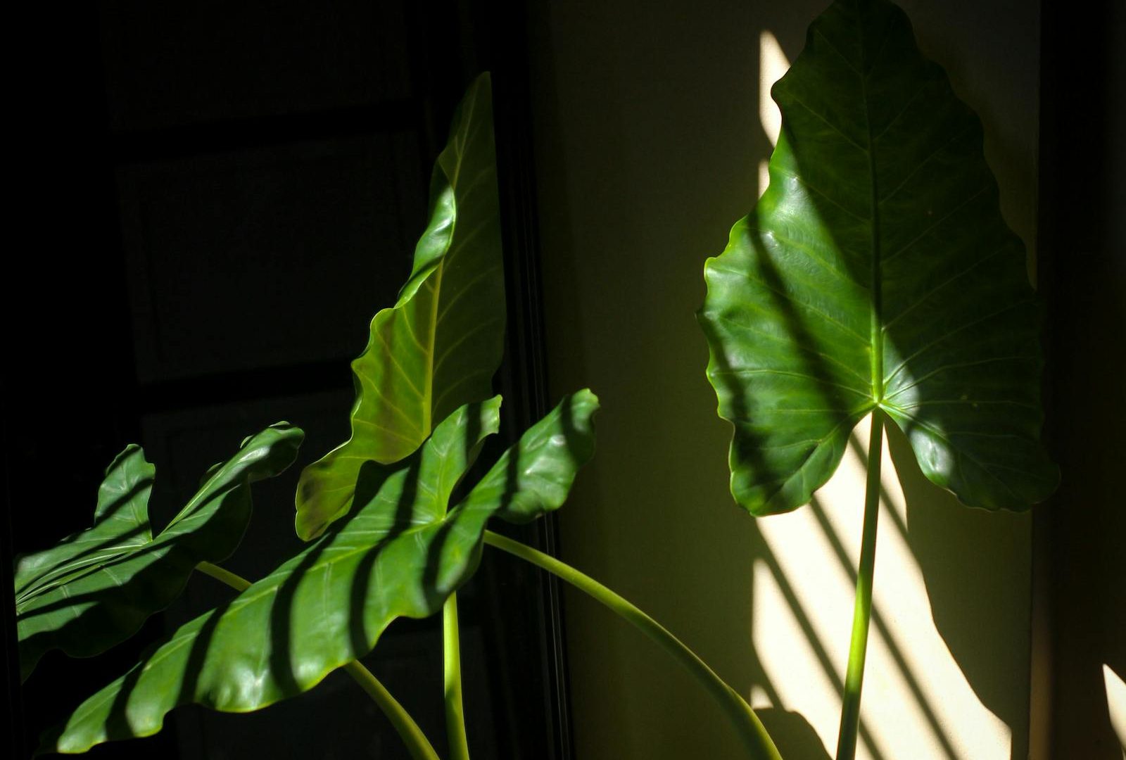 Building a quiet plant room, layer by layer