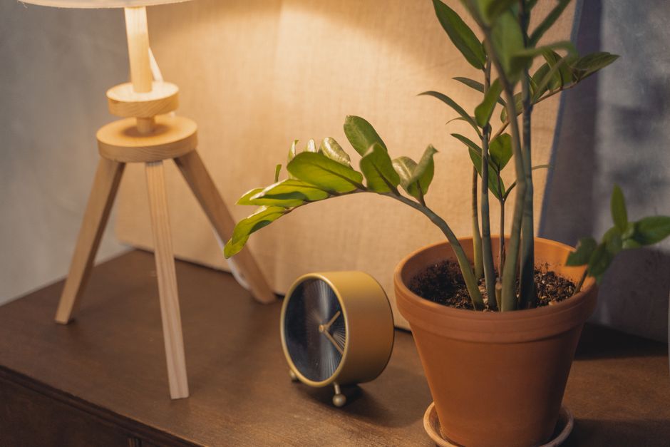 Warm and inviting interior with a lamp, potted plant, and clock on a wooden table.