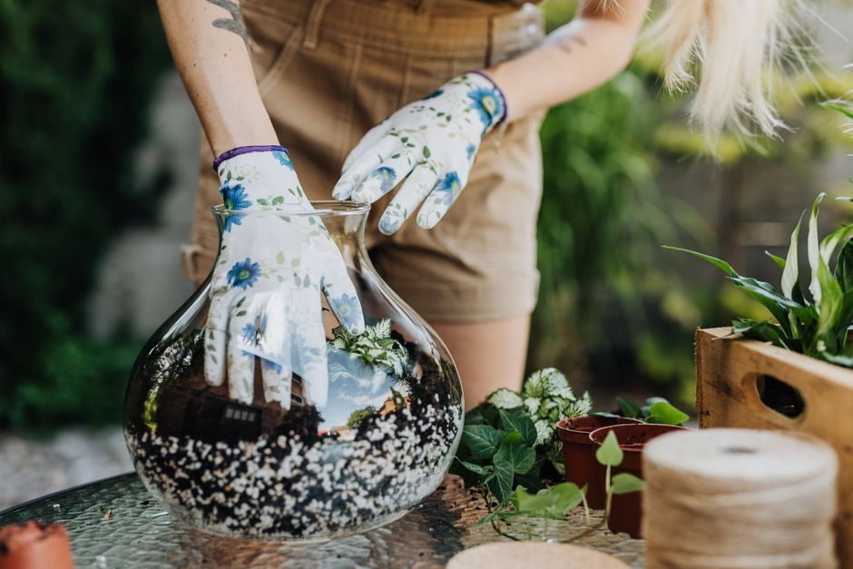 Close-up of a gardener's hands creating a terrarium with diverse plants in a glass vase.