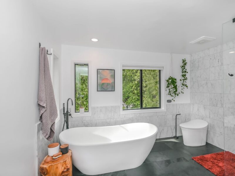 Bathroom Plants That Actually Thrive in Low Light and Steam