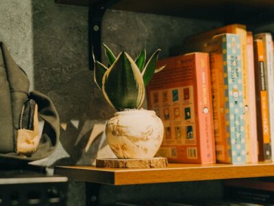 A serene bookshelf scene featuring a potted plant and a collection of books.