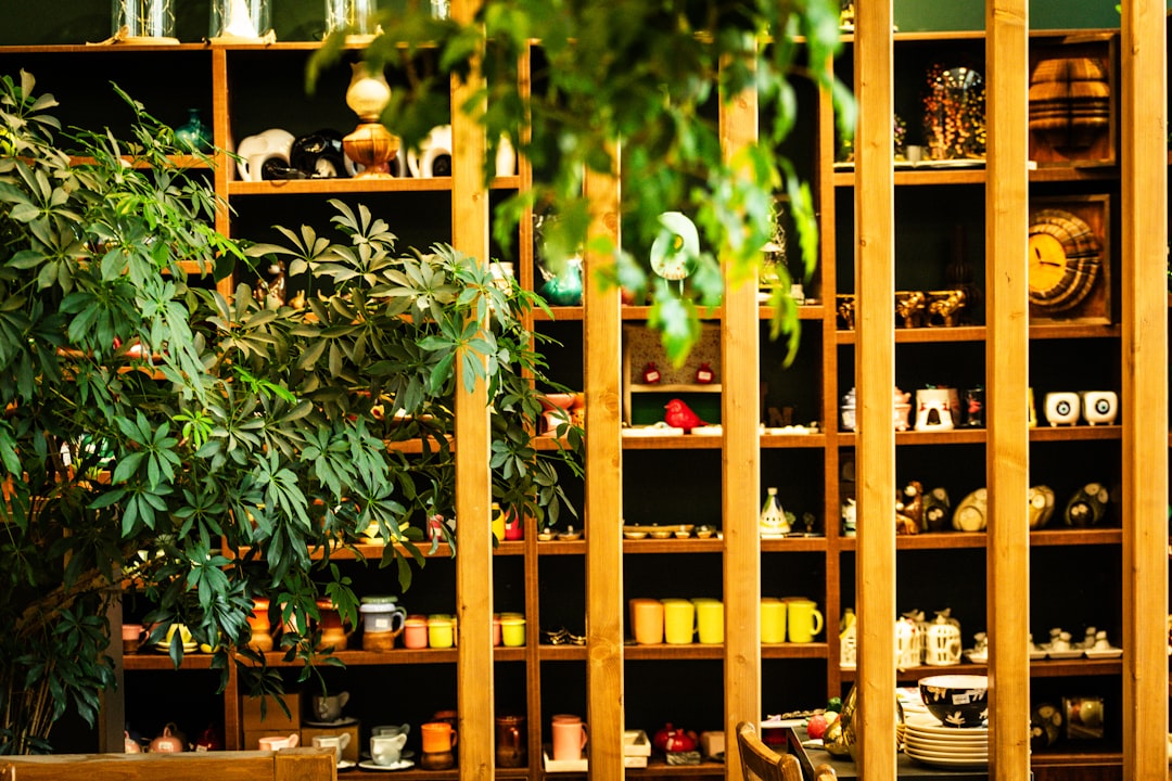 Wooden shelves filled with various decorative items and plants.