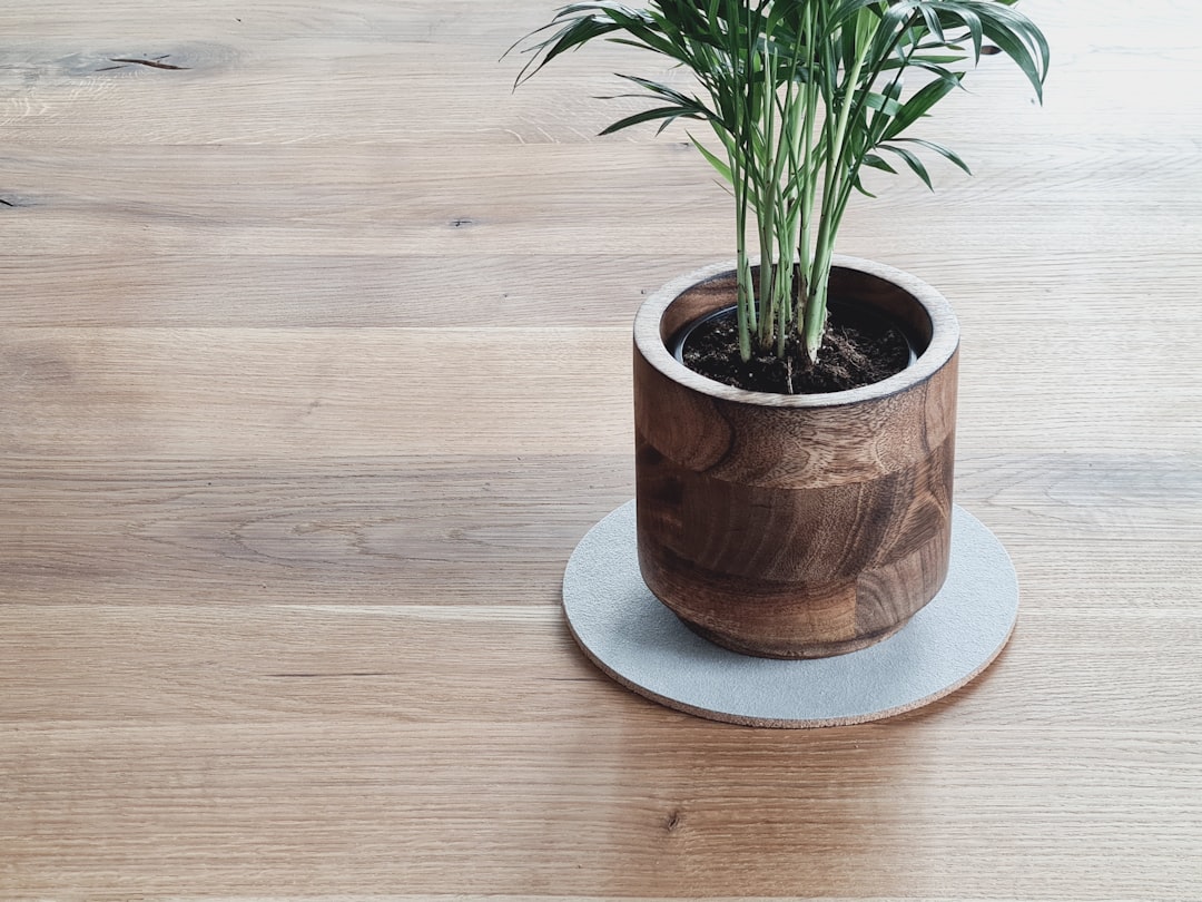 green plant on brown clay pot