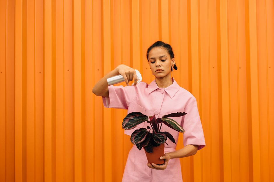 A woman in a pink outfit waters a potted plant against a bright orange wall, creating a vibrant contrast.