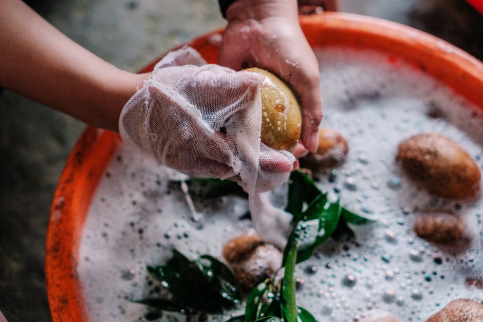 Hands washing potatoes in soapy water with plant leaves using a white cloth.