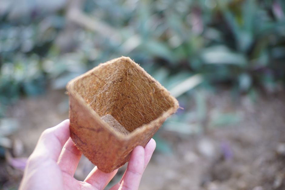 Close-up of a hand holding a coconut fiber planter pot in a garden setting, highlighting sustainable planting.
