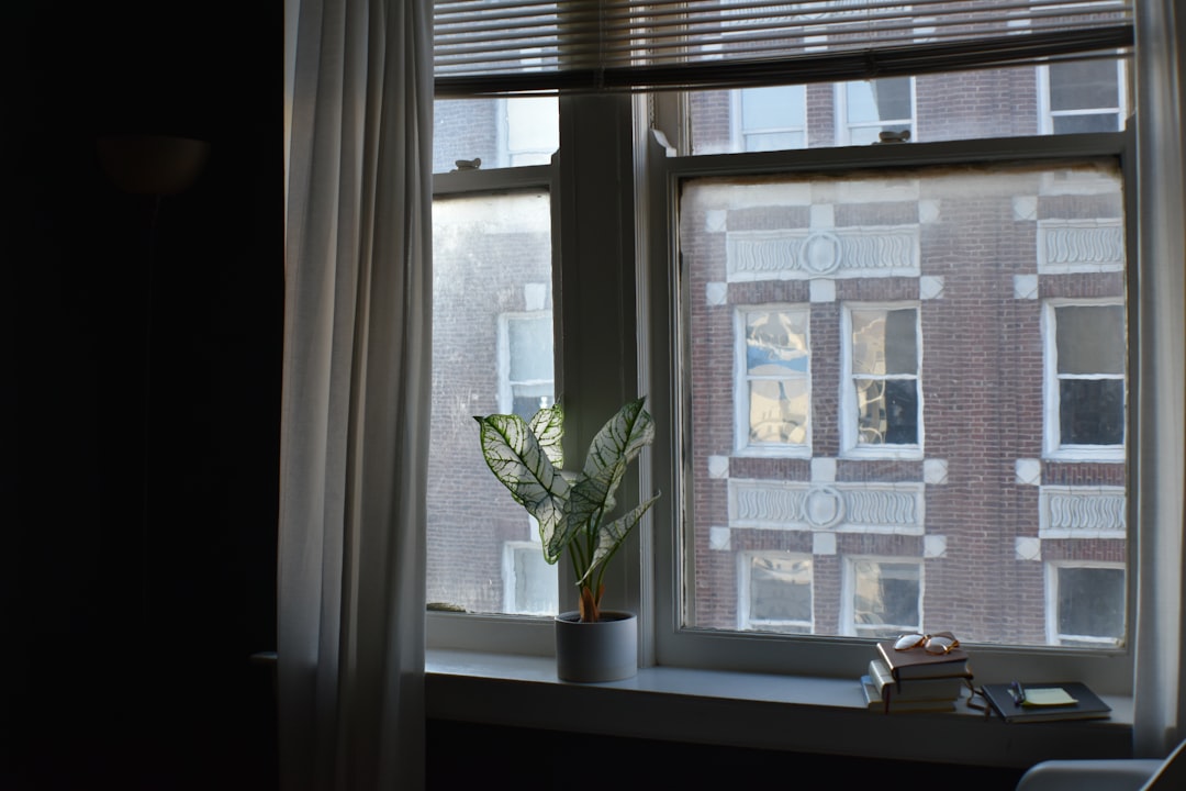 a potted plant sitting on top of a window sill