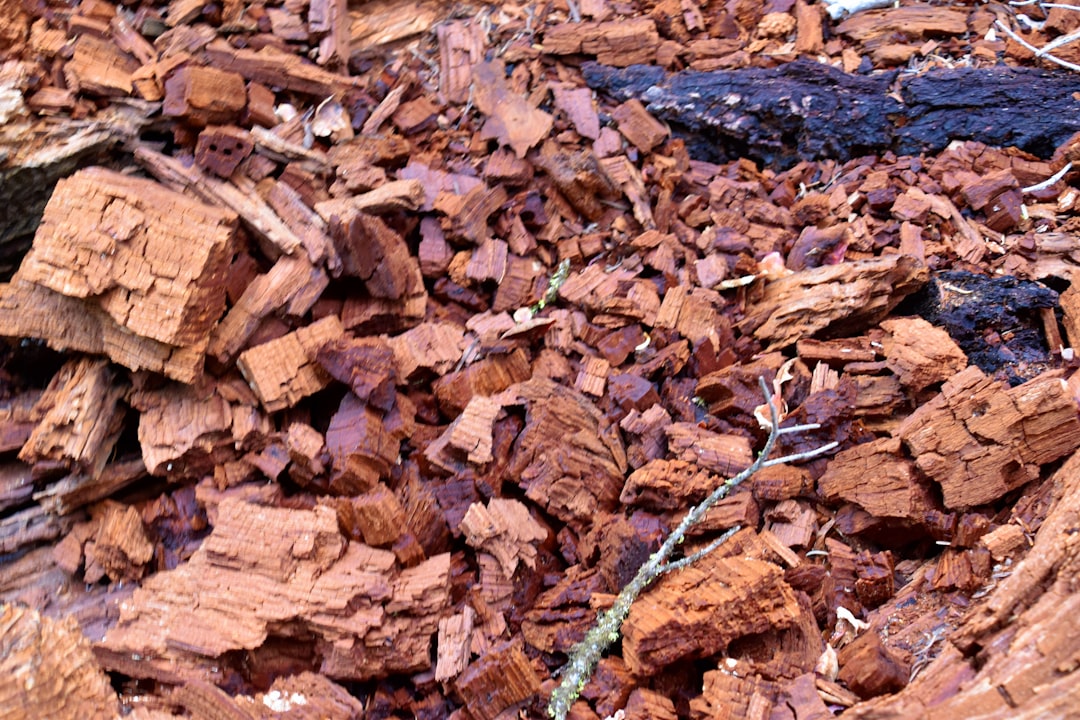 a snake slithering on a pile of brown leaves