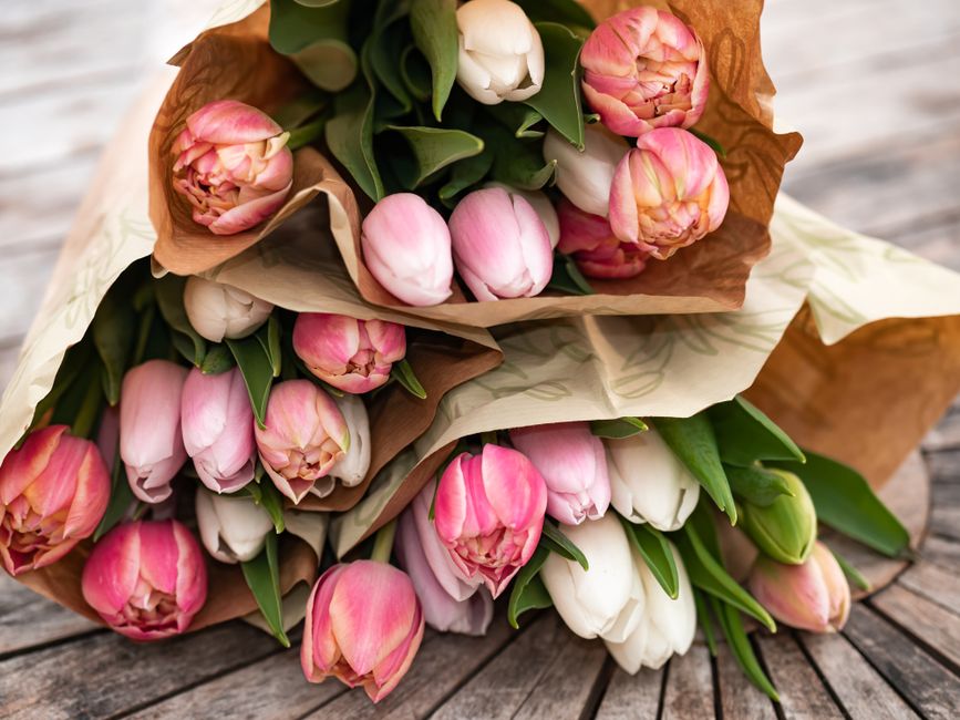 Close-up of pink and white tulip bouquets wrapped in paper on a wooden table.