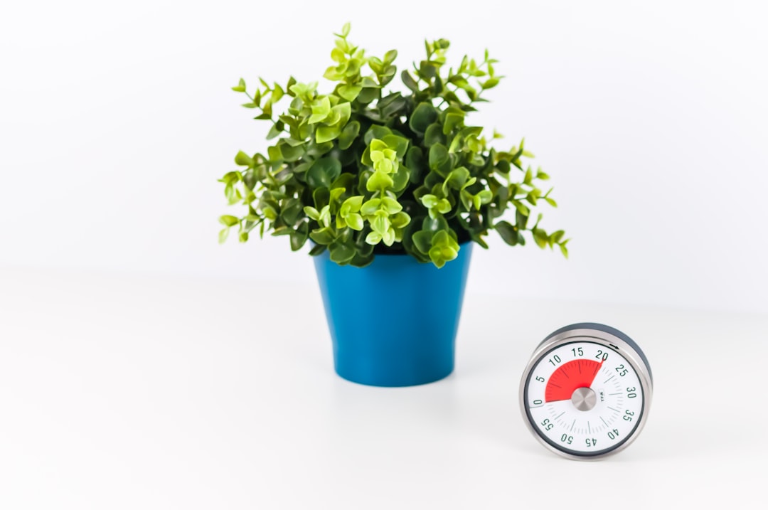 green plants in blue pot