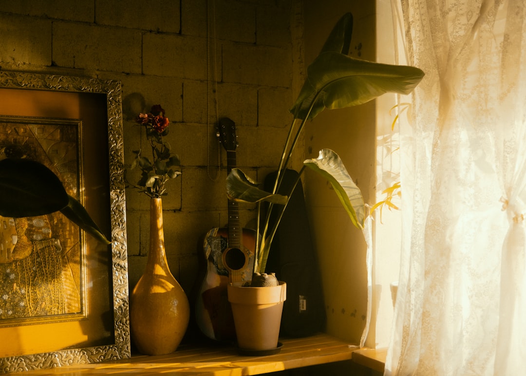 Still life with guitar, vase, and potted plant.