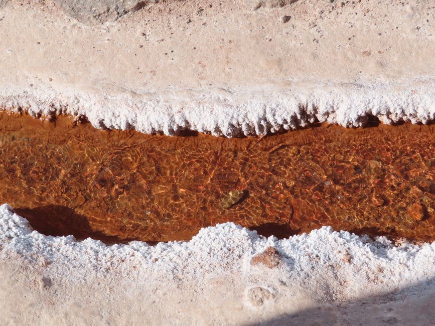 Detailed view of a mineral-rich creek surrounded by salt deposits.
