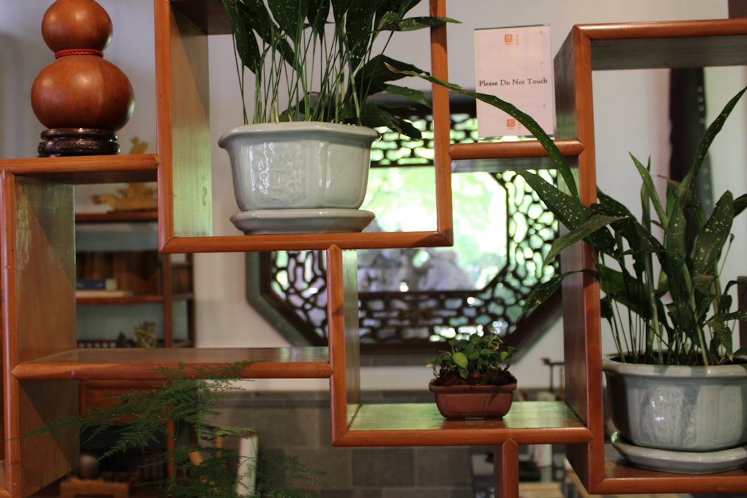 Traditional wooden display shelf with potted plants and lattice window.