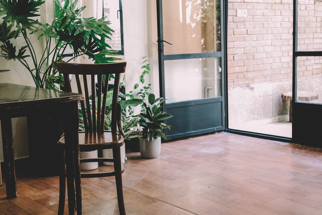 Wooden chair in a room with plants and plants